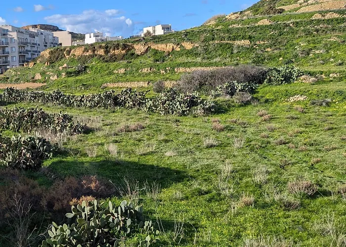 Lejlighed Larimar - Blue Haven